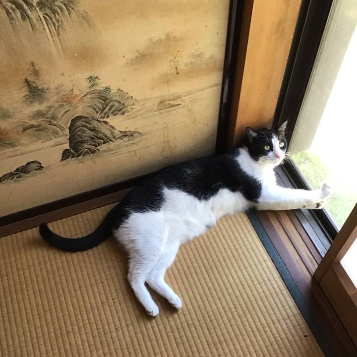 Db612806 eb55 4ee5 a096 78787418581c 1690705784126