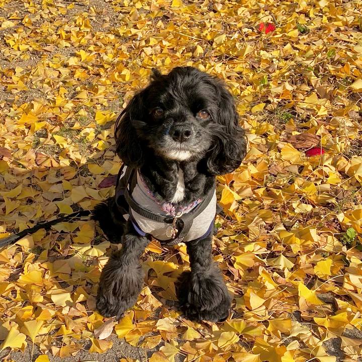 Db6133a9 86af 4cfd b78a 1470a5f1ef5d 1669535896118