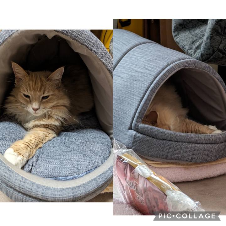 Db616972 7a44 42dd adbb 5acf4acf5876 1714093773687