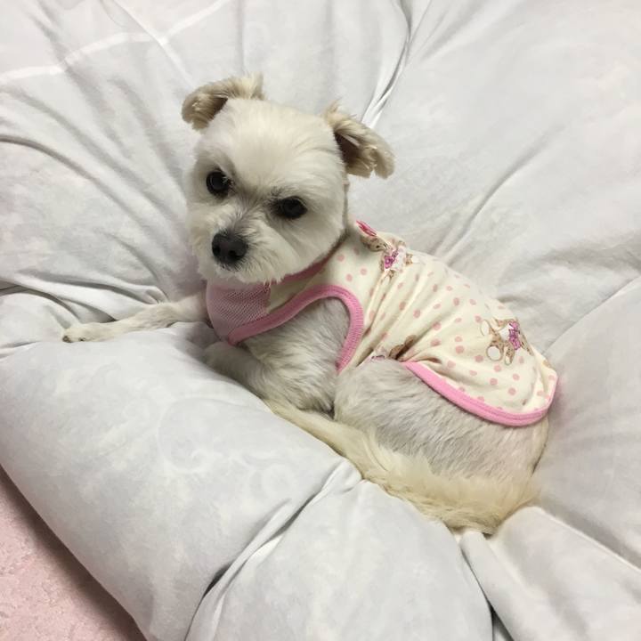 Db617dcf 68d1 404c 8bb5 3fbfbe850904 1525347920117