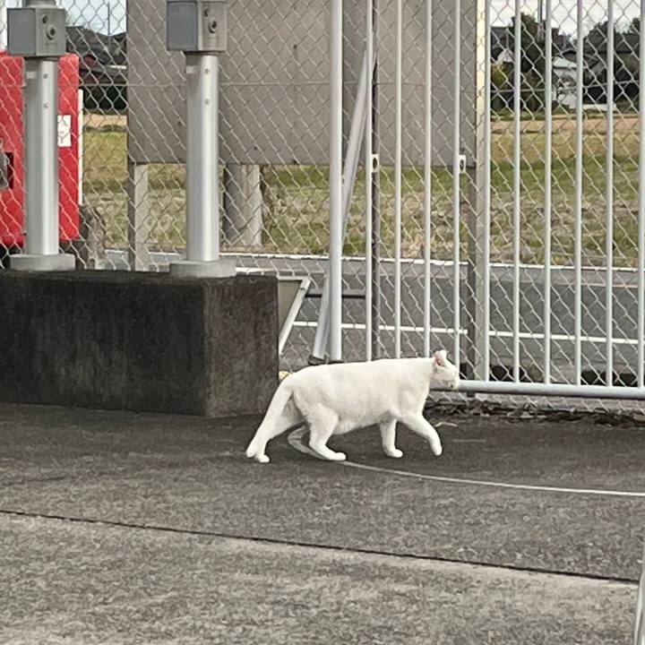 Db618d94 5a9c 4d56 8b25 4b2692294d93 1667559555167