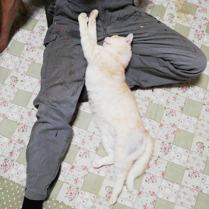 Db6190e4 1b1f 47cd bf36 a6887215064a 1624830481419