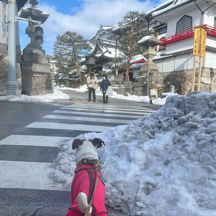 Db6191ad 11a8 4cf3 8ce5 85a271af2fdb 1643006962957