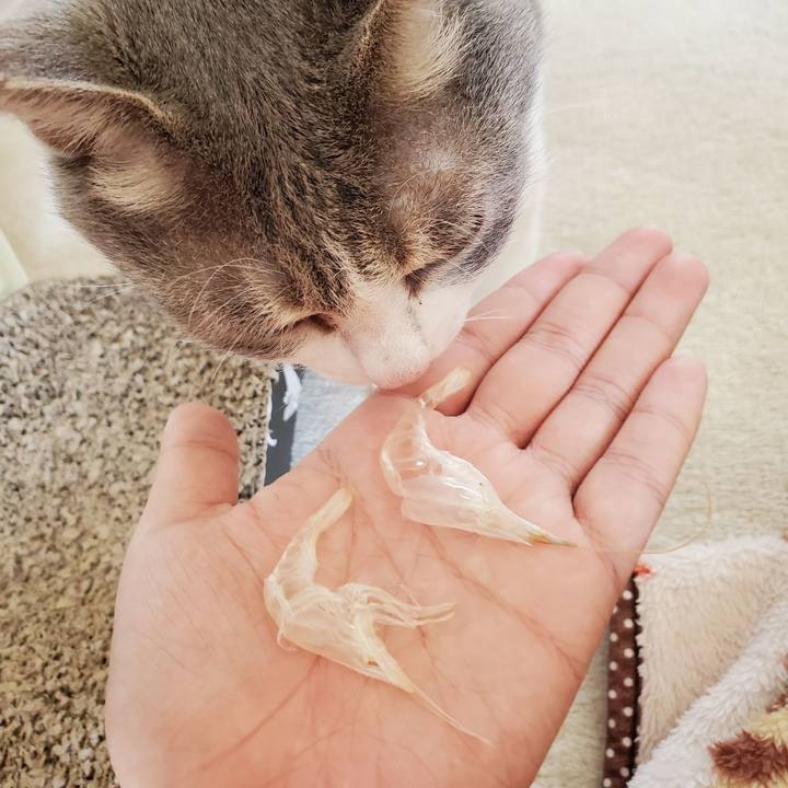 Db61a22b 80f9 4f85 b032 e1c7726aa516 1715352492103