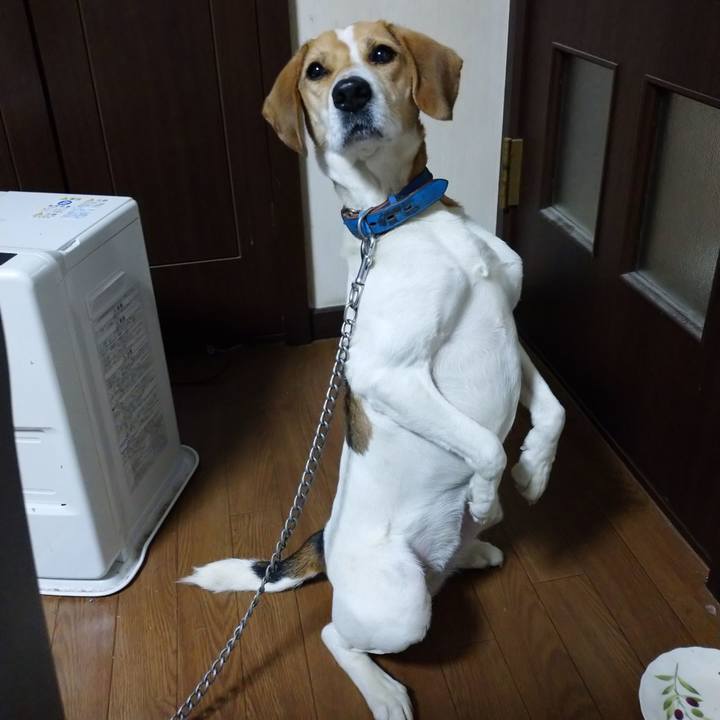 Db61c9ef 94fa 407b 9d70 2e3126852972 1611227413273