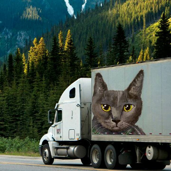 Db61dbe3 2ac3 4209 8694 e47fa142315b 1525451290090