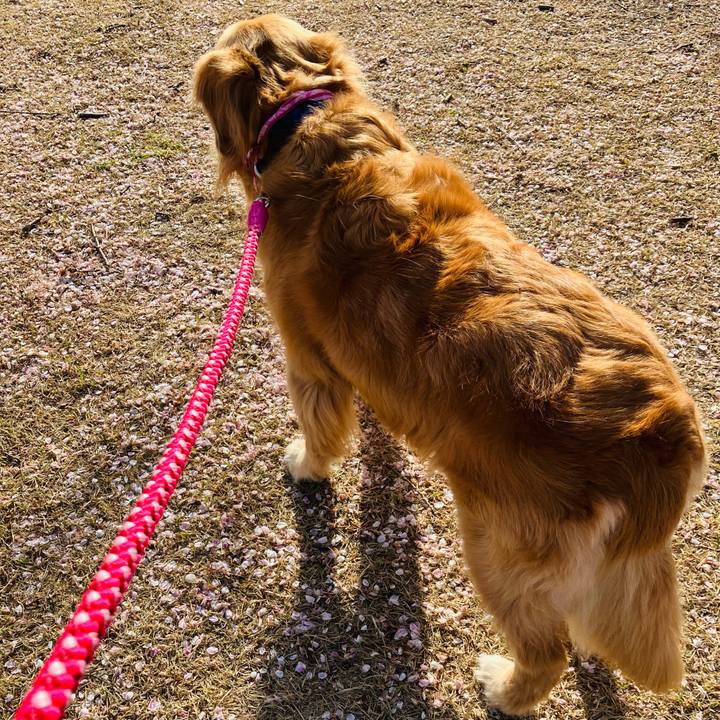 Db6246f2 fbd1 4e9e bfa0 54a724083806 1776164885356