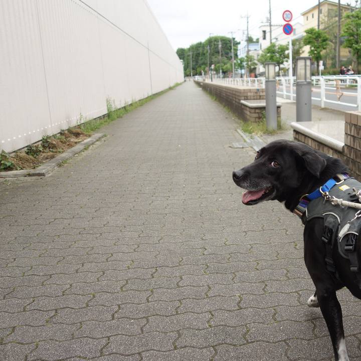 Db626fd2 97e1 48a9 b8ac 65fbfbd336f8 1651367714707