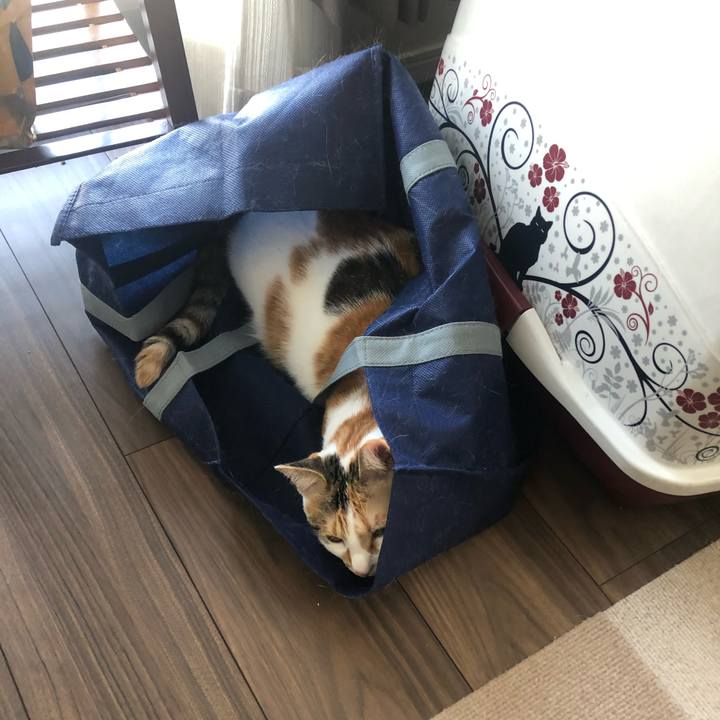 Db627295 64e0 4218 8999 5e1e2db60eff 1591140697832