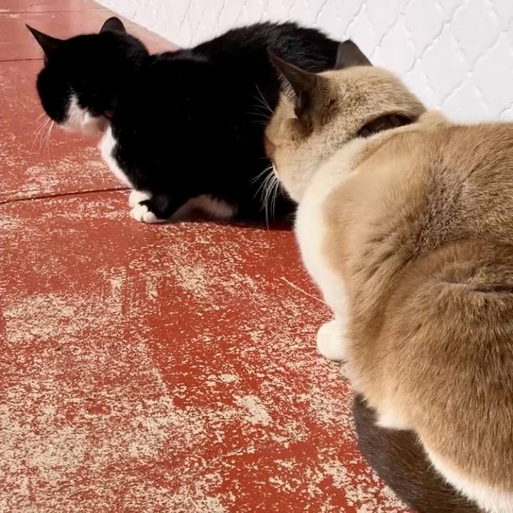 Db627e37 eacc 4539 a2da 7f1e73eff826 1740361456796