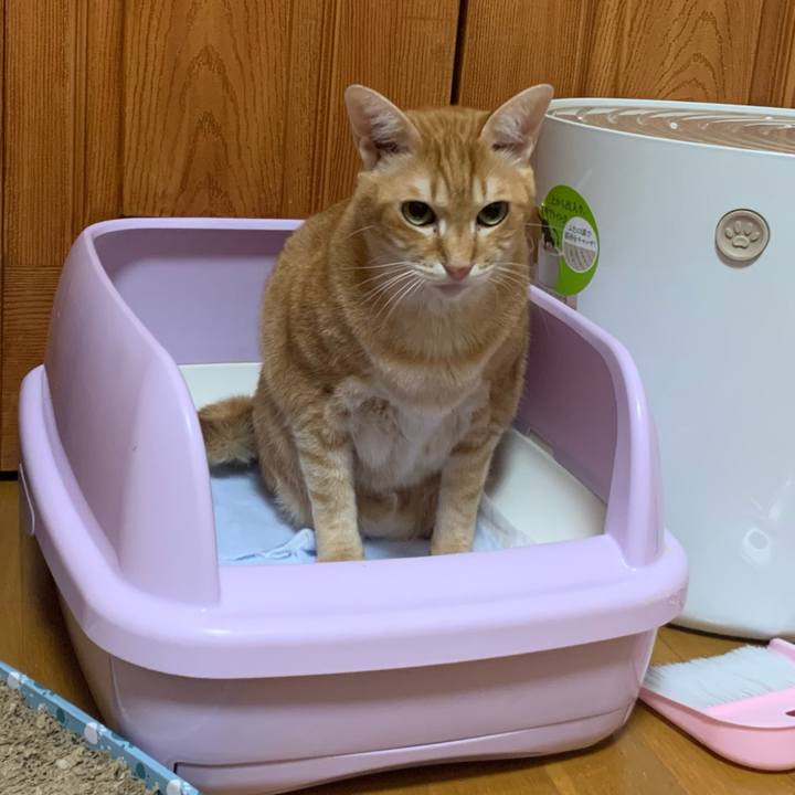 Db62a1be 6224 42ff 83cd 977bfd245f4a 1575151892316