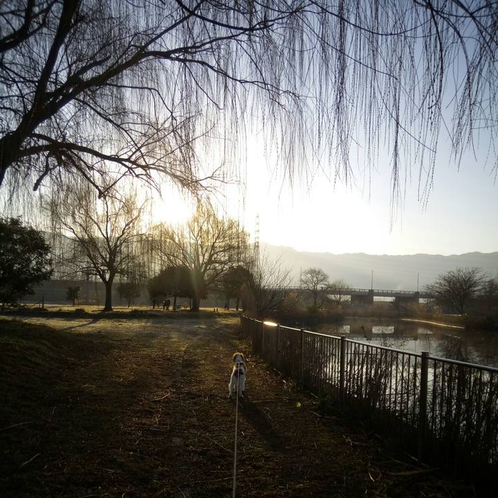 Db6338e0 25e4 4ace b186 acc7e783ce1a 1520036318158