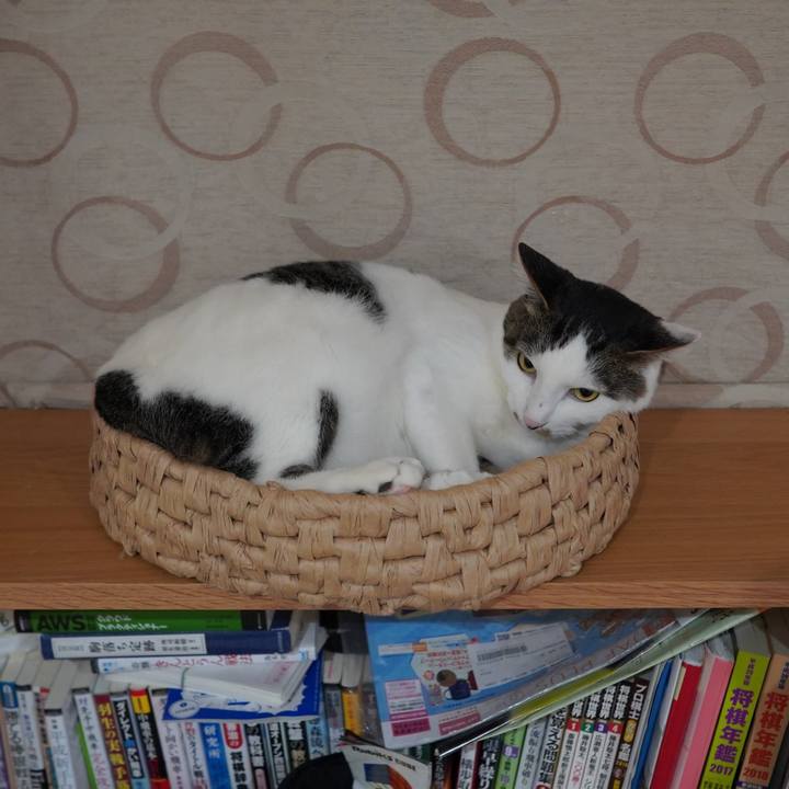 Db63666e 8ce4 4ec9 8b58 ea53e6c9da5a 1590645825084