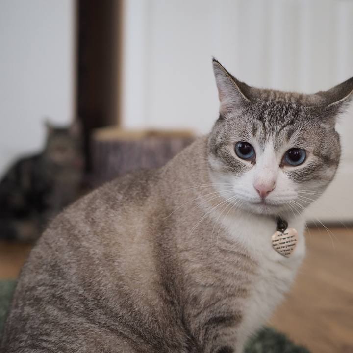 Db637565 6fc1 4ea0 b757 9de22531801f 1598076734880