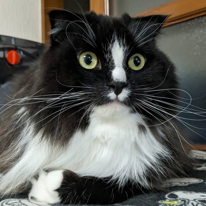 Db637736 6399 4cac 9690 8af385fddb93 1707131615311