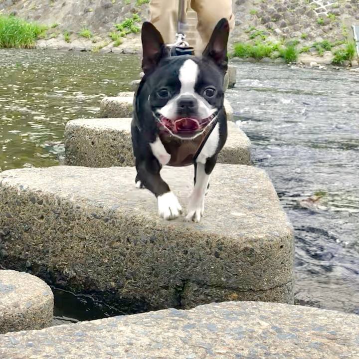 Db638d9e f873 4c1e ad02 535d0618d874 1525591596573