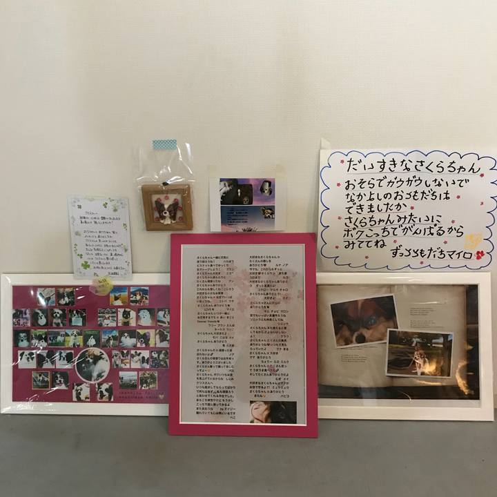 Db63acd5 5a16 4bc1 9cb7 7a9c829d7f5c 1537009220880