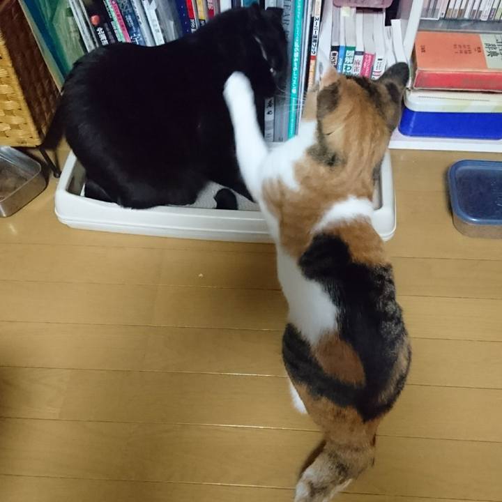 Db63b605 f5cc 4745 beb4 74c17304a64d 1546344853911