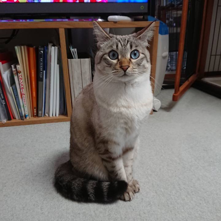 Db63f632 e321 4c8d 9571 83747a15811c 1548575951688