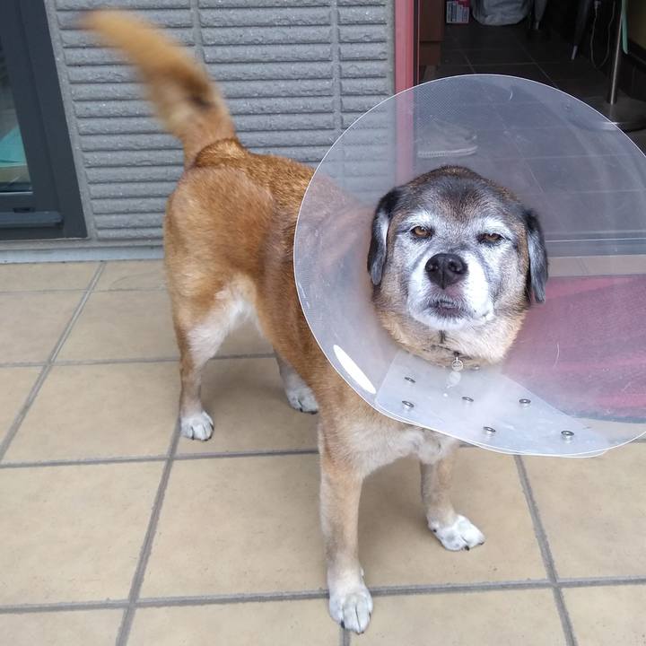 Db63fa6e 1358 4354 9c4e 5bd37078d894 1559291620048