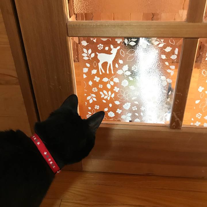 Db647afe 291b 4a2c a517 650bef1b76da 1517285218814