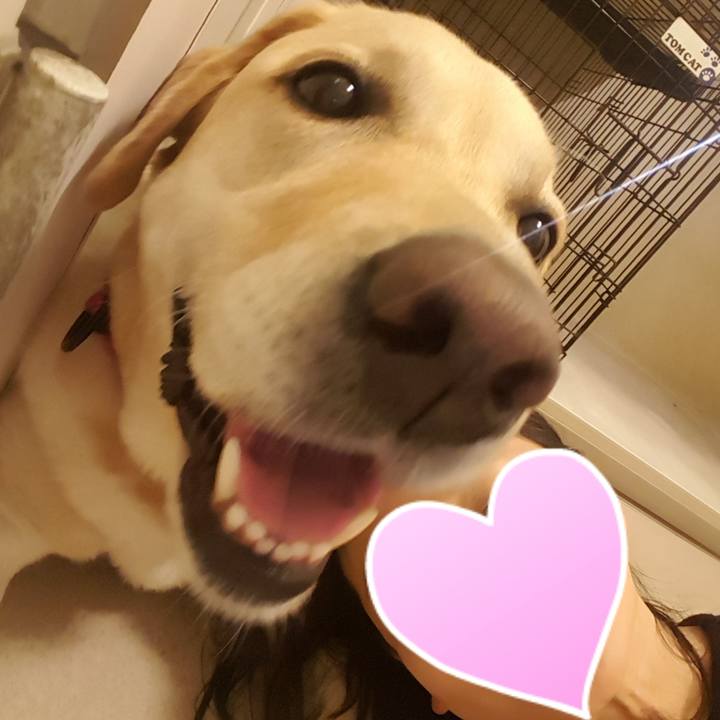 Db648cc9 9448 4213 913c e39ba9a9e48a 1569329239962