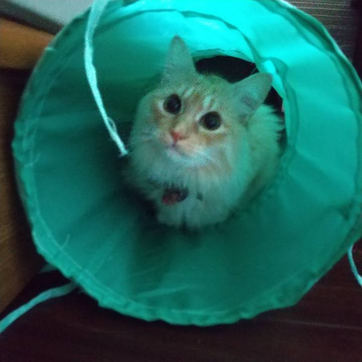 Db64c9e1 fab8 4203 b987 32ddff571ce6 1646805781741