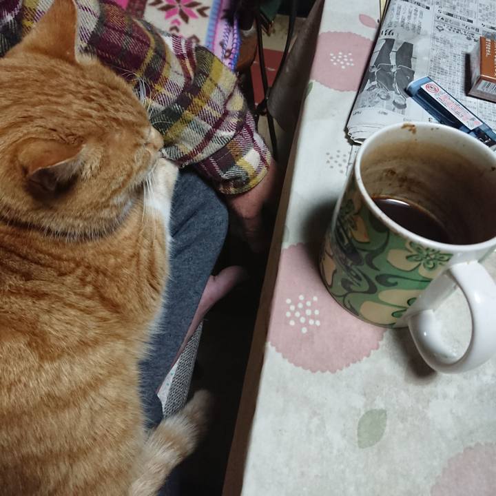 Db64d200 acfc 44f8 ae10 e61ba1d7da4e 1578257461805