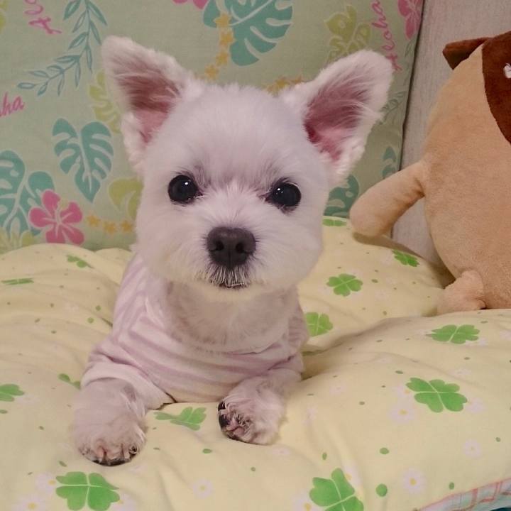 Db64d9a4 b5df 4bbe 9748 7380023eae16 1530514361494