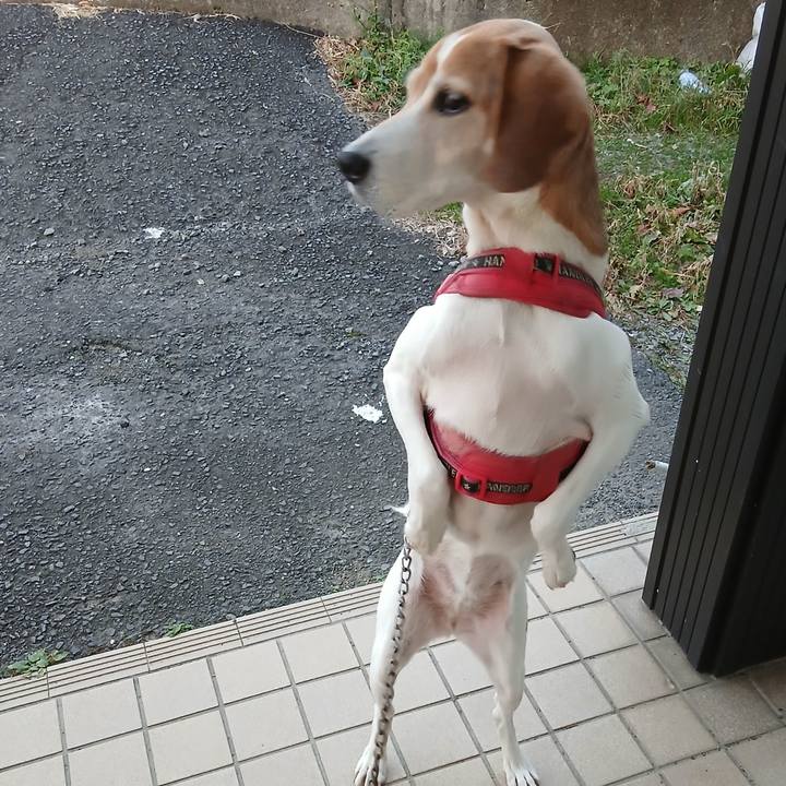 Db650474 8eb8 4dff b03b 9cc495979693 1765095877208