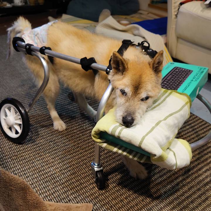 Db6506c6 715d 41d8 9bb0 b241a4c1aec5 1656760196715