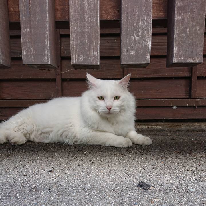 Db6514b9 79a9 45a1 a904 a60e4d5fb242 1566599046317