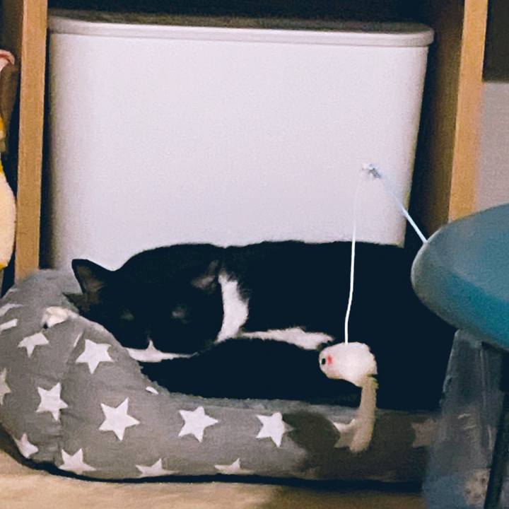 Db6556e1 5f91 4414 871d 0c7dd5738d6e 1668865289345