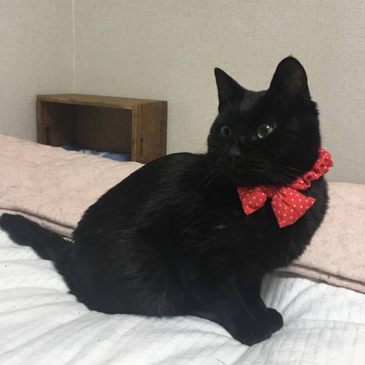 Db655c49 5acc 4e57 8d8f 237b417ad49d 1551191690627