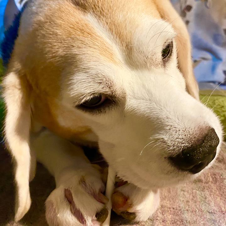 Db656972 52c0 4796 8347 50a695b6757d 1594382174464