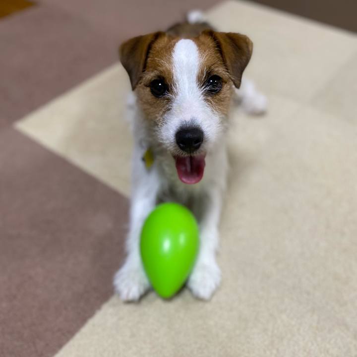 Db6572a4 c0d6 4e13 813a 3c46cf42a6b3 1657026025181