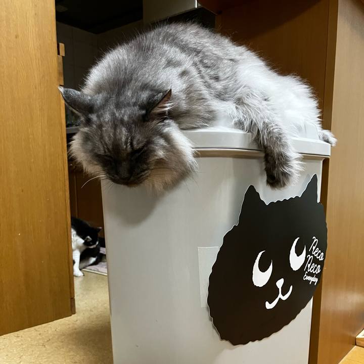 Db659684 ee6d 472a ae0b 6481d330df32 1723421127196