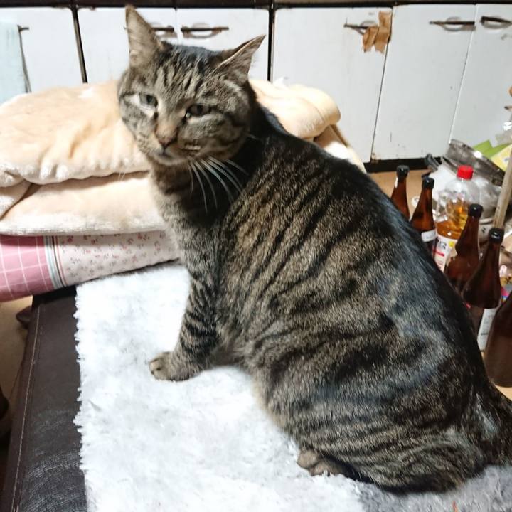 Db65b6c1 1253 4214 b36e bf4745bcee10 1643922242837