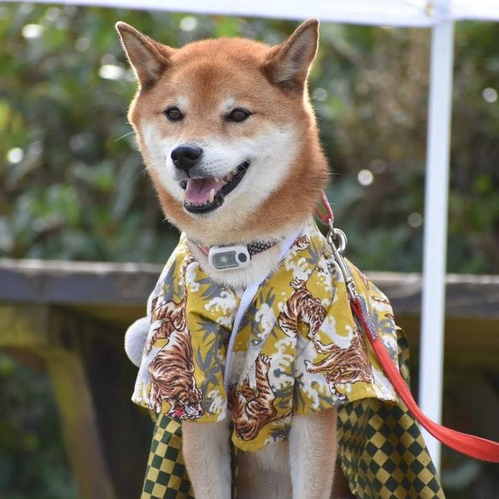 Db65c602 5498 4ab8 be7c f99193e1d1c6 1636553862400