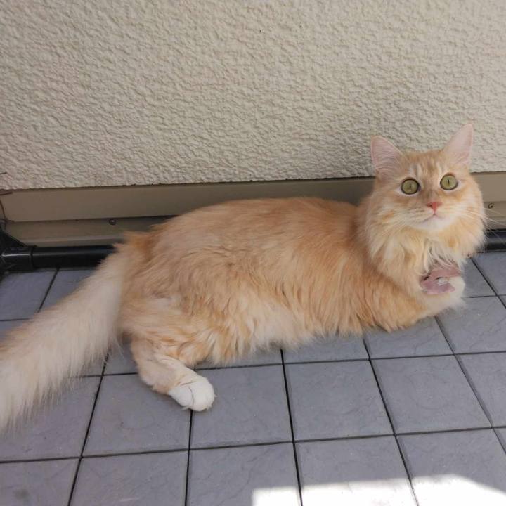 Db65f2e5 f31a 491c 9804 7921cadeba37 1724157624369