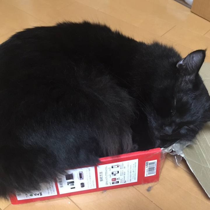 Db662b36 a50b 42e3 8b90 102a59068f8e 1508906917581