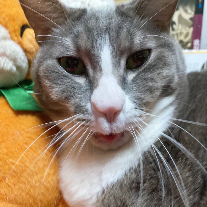 Db667821 be4a 4dd2 aa90 6f3d43c1661e 1644157932344