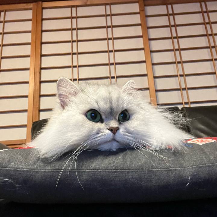 Db6682fd 3a5d 47ad 913c 9a824ae13df1 1644026794132