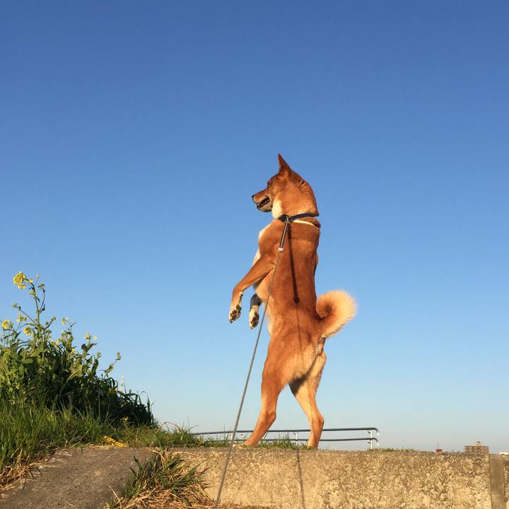 Db66cae3 d95a 45bb 9962 aaa162a553e8 1553728203924