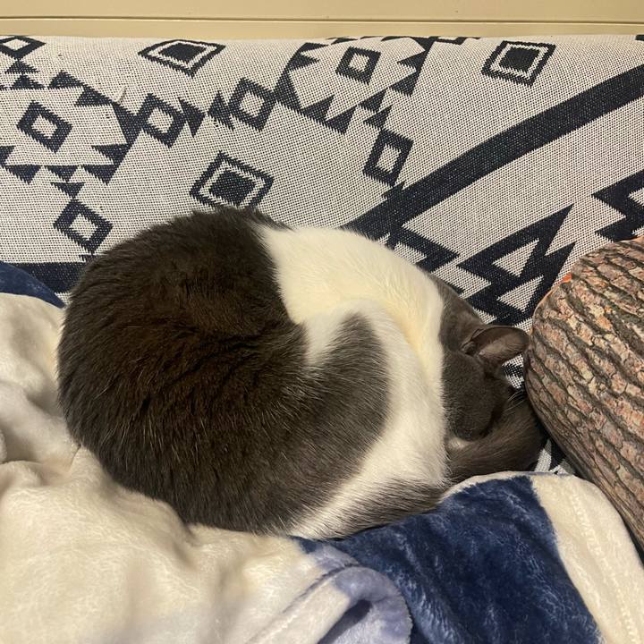 Db66e2dd 7dfd 41e7 bb5f c9c92d00f385 1678110039416