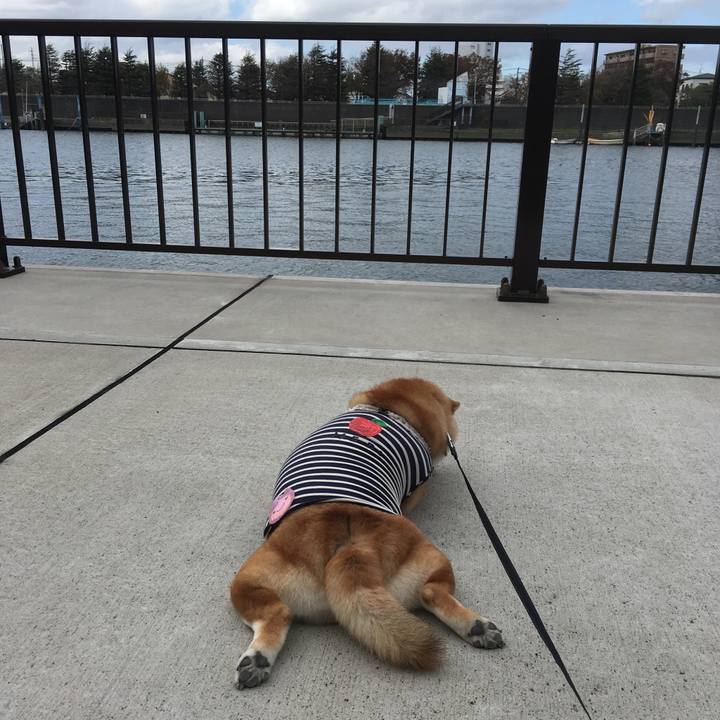 Db66ec0d ba83 4ed5 81b7 697e4a2cf28a 1540613134930