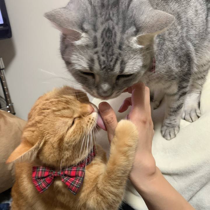 Db66ee23 6e47 4699 a622 59d39c2e0009 1584677879382