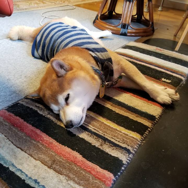 Db66f135 c3d7 4990 8379 40b5d6f2e658 1580256223867