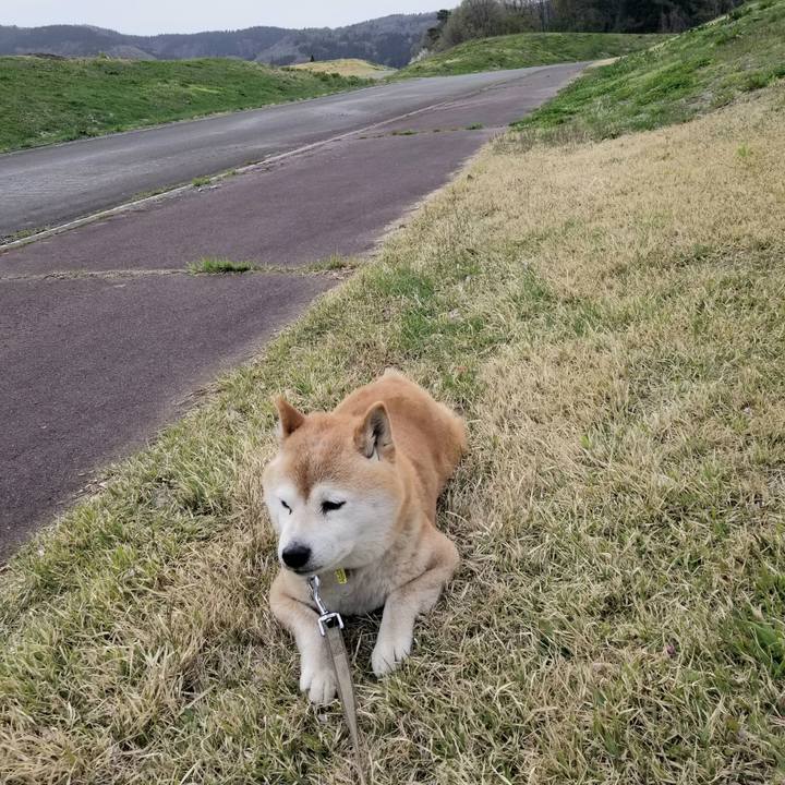 Db671c9a 3dae 4a74 b04a 999e58db07aa 1681456964871