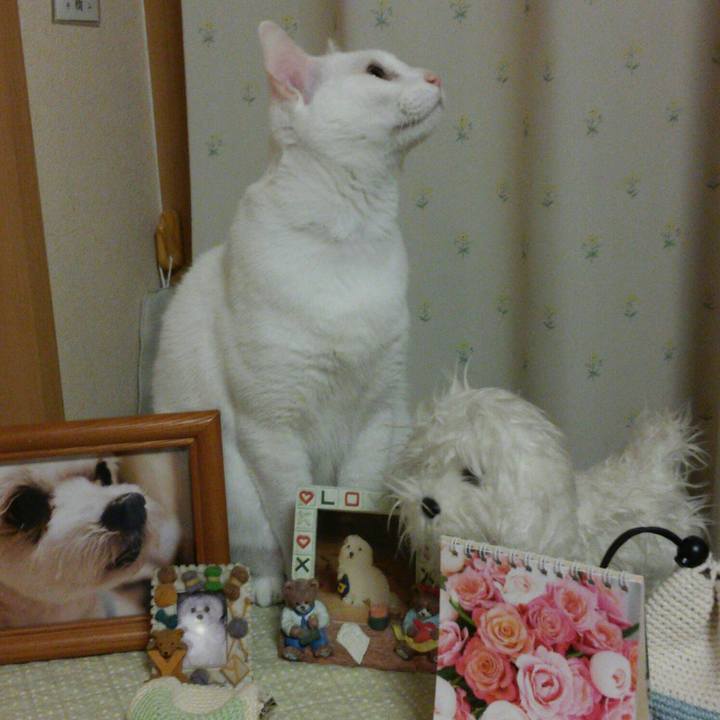 Db67645d 7697 48bc 9885 c4a3f800ee31 1524748468507